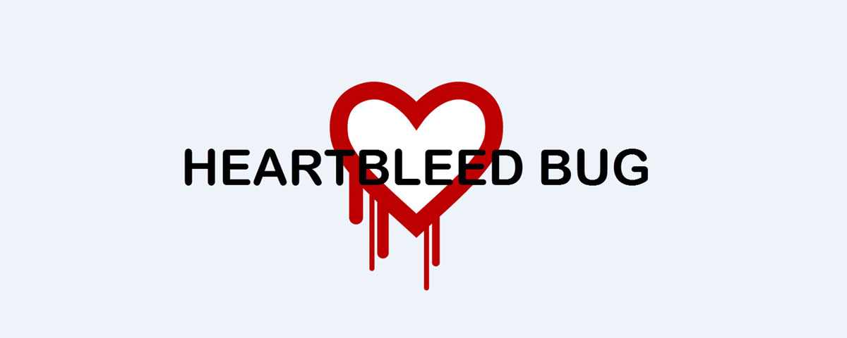 HEARTBLEED BUG